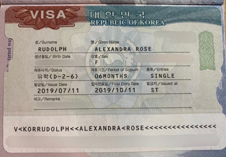 VISA D4-1